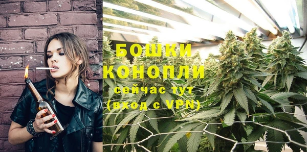 прущая мука Шенкурск