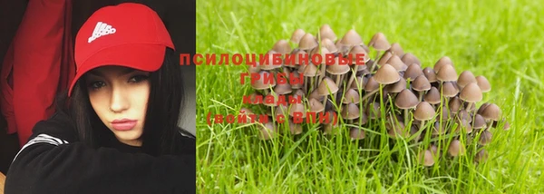 дурь Покровск