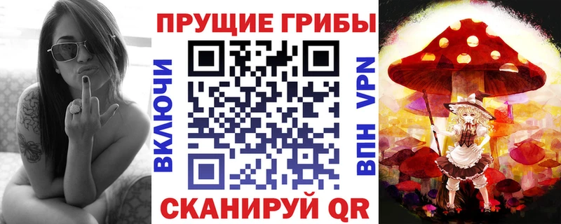 Псилоцибиновые грибы Psilocybe  сколько стоит  Владикавказ 