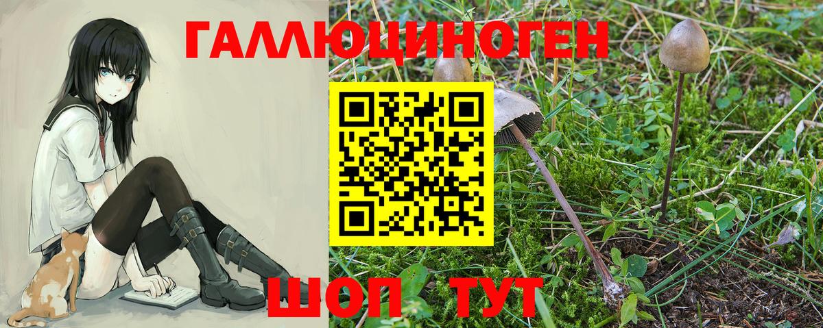 Галлюциногенные грибы мицелий  Псилоцибиновые грибы Cubensis  Владикавказ  Вход с VPN 