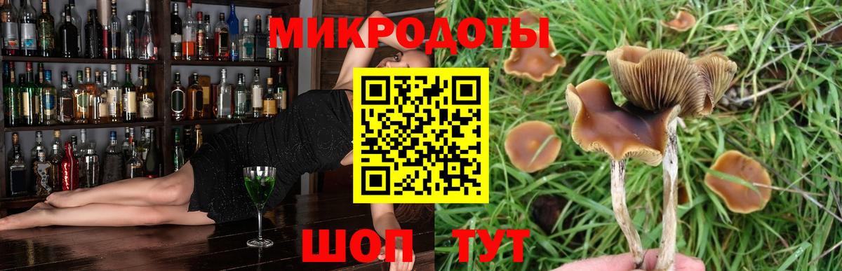 Галлюциногенные грибы прущие грибы Владикавказ